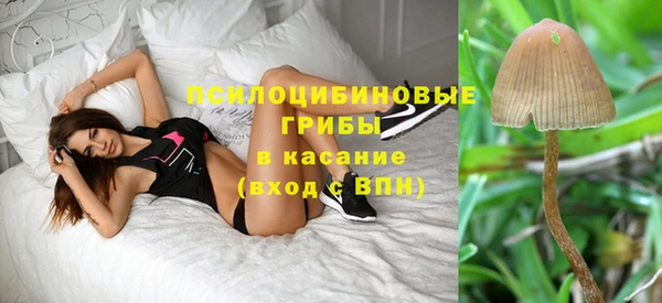MESCALINE Нязепетровск