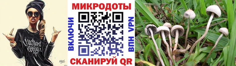 Галлюциногенные грибы Cubensis мориарти формула Бабаево хочу